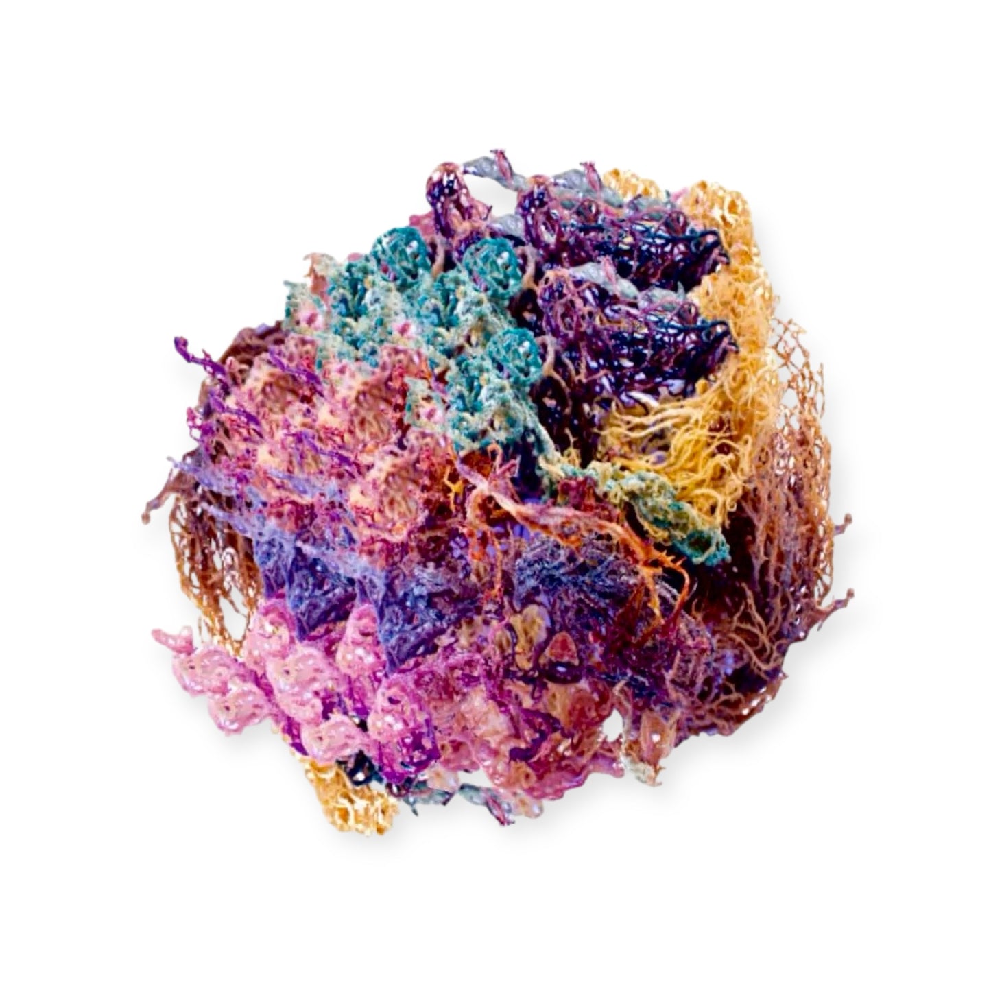 Raw Organic St. Lucia Sea Moss - Eucheuma Cottonii - PREVAILING HERBS LLC