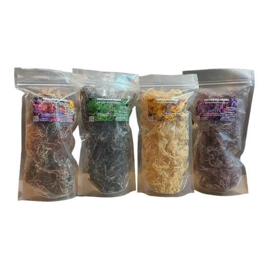 Raw Organic St. Lucia Sea Moss - Eucheuma Cottonii - PREVAILING HERBS LLC