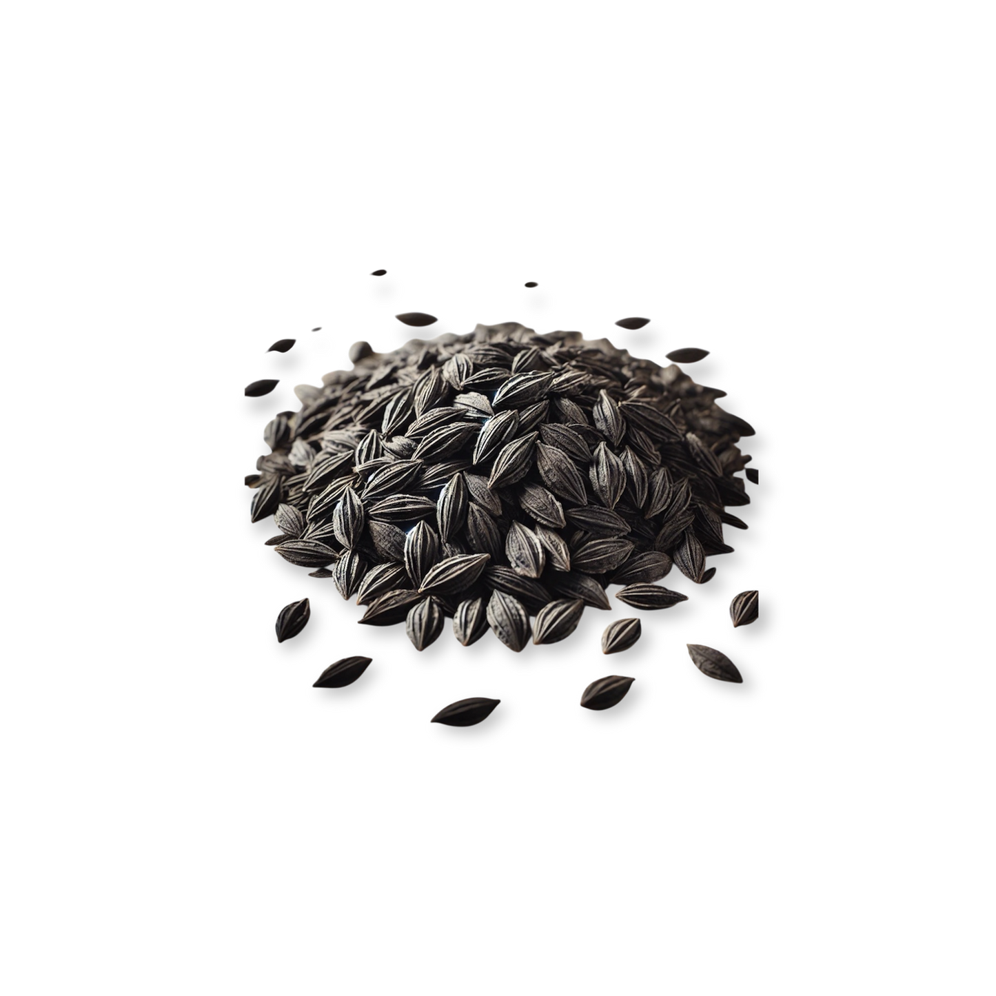 Black Seed - PREVAILING HERBS LLC